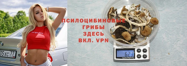 эйфоретик Абинск