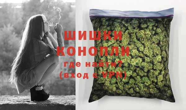 прущие грибы Михайловка