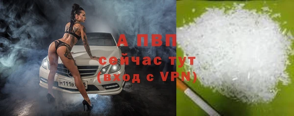 a pvp Абаза
