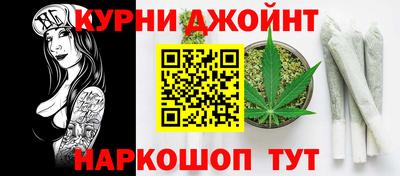 стаф Дубна