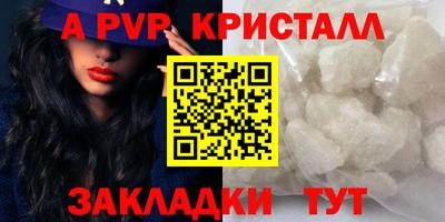 стаф Дубна