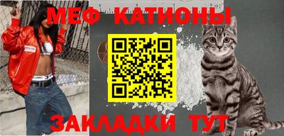 стаф Дубна