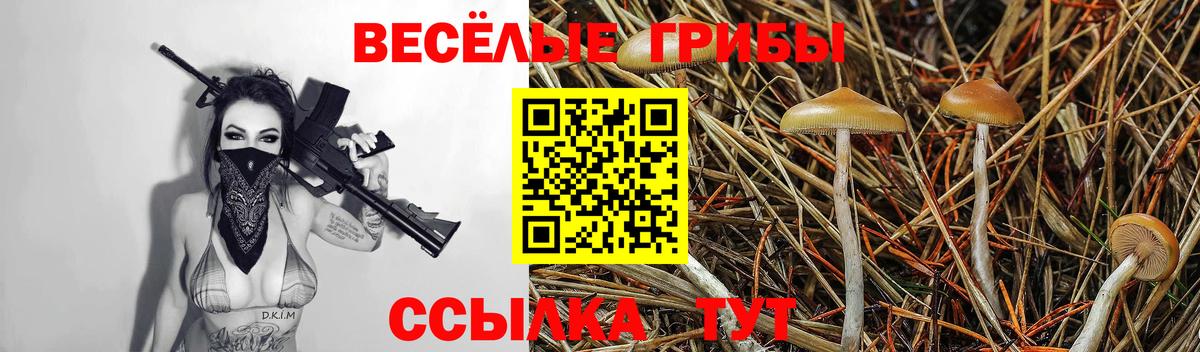 Галлюциногенные грибы MAGIC MUSHROOMS Саратов